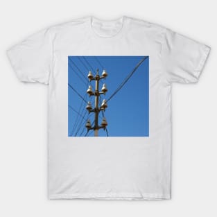 Telegraph Wires T-Shirt